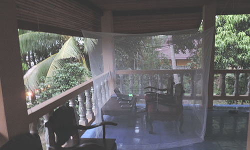 Thailand_Fliegennetz